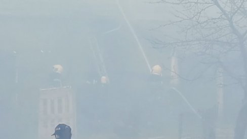 ЖАР ИСПАО НА ТЕПИХ, ВАТРА СЕ МУЊЕВИТО ШИРИЛА: Пожар у Крушевцу, пола насеља под димом, породица у паници бежала носећи децу (ФОТО/ВИДЕО)