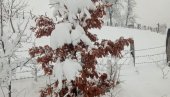ЛЕПОТА И МУКА НА СВЕ СТРАНЕ: Зимска идила у Азбуковици - завејао снег, али је мало младих да чисте путеве и стазе (ФОТО)