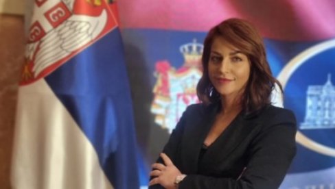 MILIVOJEVIĆ: Srbija je pravna država koja ne štiti lopove