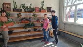 POMAŽU IM I IZ ZABELE: U OŠ Kralj Aleksandar Prvi“ prave botaničku baštu