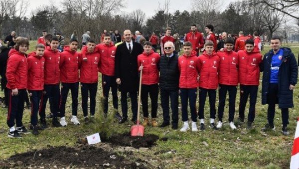 ЛЕПА АКЦИЈА ЗВЕЗДЕ: Црвено-бели у Парку пријатељства засадили борове и јеле поводом 78. рођендана