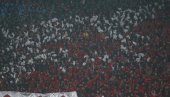 IGRAČI OČIGLEDNO NE RAZUMEJU! Navijači Crvene zvezde, delije, odlučili se na ovaj korak!
