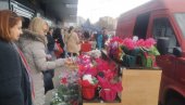 PLANULO CVEĆE U PARAĆINU: Ulični prodavci danas udvostručili prodaju (FOTO)