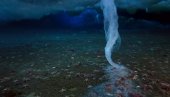 ЈЕЗИВИ ПРСТ СМРТИ КОЈИ УБИЈА СВЕ ПРЕД СОБОМ: Подводни феномен на Антарктику који се не виђа сваки дан (ВИДЕО)