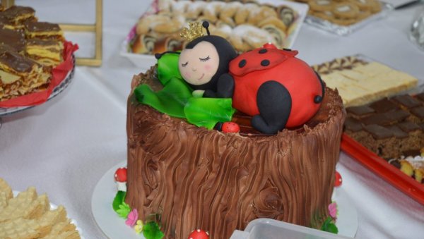 ДЕЦИ С ЉУБАВЉУ: У Сомбору одржана хуманитарна изложба торти и колача (ФОТО)