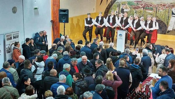 „ДАНИ МЛАДИХ ВИНА“ У ГУДУРИЦИ: Представило се 16 излагача из Вршца и околине