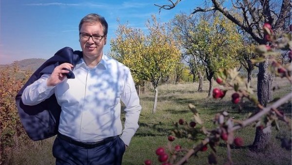 СРБИЈА ЈЕ МОЈ ЖИВОТ, ЗА ЊУ ЖИВИМ: Председник Вучић се огласио на Инстаграму