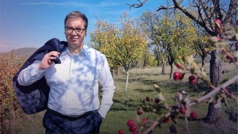 SRBIJA JE MOJ ŽIVOT, ZA NJU ŽIVIM: Predsednik Vučić se oglasio na Instagramu