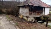 PONOVO SE ČUJE VODENIČKI TOČAK: Konačno obnovljen dragulj seoske baštine u Virovcu kod Mionice - Jankovića vodenica opet melje žito
