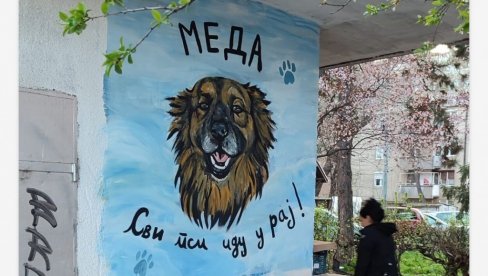 SIMBOL SVIH SVIH NAPUŠTENIH PASA: Nišlije oslikale mural Medi, psu koji je ulepšao život stanarima Rentgenove