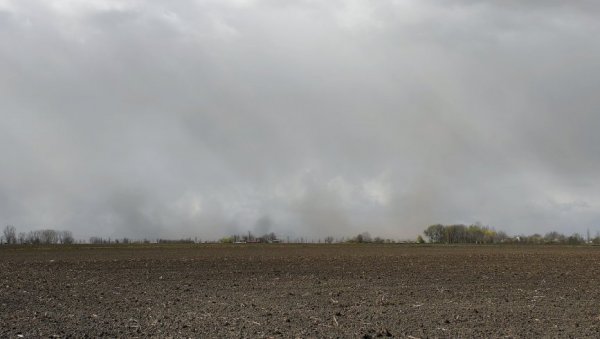 ДА ВОЈВОДИНА НЕ БУДЕ ПУСТИЊА: Општине у северној покрајини покушавају да поправе просек пошумљености, који је испод 1 одсто