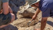 ARHEOLOZI OTKRILI NEPOZNATU VRSTU: U Egiptu pronađen fosil manjeg kita star 41 milion godina