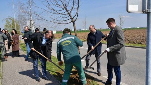 APRIL - MESEC ČISTOĆE“ U BIJELJINI: Posađeno 150 sadnica javora i lipe, u planu još ozelenjavanja