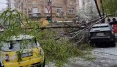СНЕГ ЛОМИО ОЛИСТАЛО ДРВЕЋЕ: ЈКП Зеленило Београд добило 393 пријаве грађана због поломљених стабала