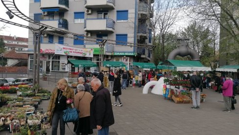 ШАРЕНО И УКУСНО НА БАНОВОМ БРДУ: Отворен први фестивал Цвећа и меда на Чукарици