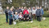 PODMLAĐUJU BOROVU ŠUMU: Pluća Jagodine bogatija za 31 sadnicu (FOTO)