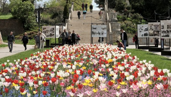 ПОЉЕ ЛАЛА НОВА АТРАКЦИЈА: Туристи застају како би се усликали поред ове дивне градске баштице