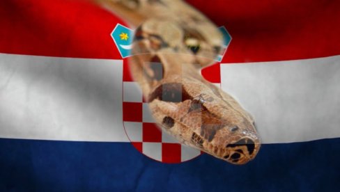 UPOZORAVAJU STRUČNJACI: Lovci snimili najotrovniju evropsku zmiju u Hrvatskoj (FOTO)