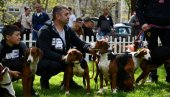 SMOTRA PASA SVIH RASA: U Kraljevu održana 22. Nacionalna kinološka izložba
