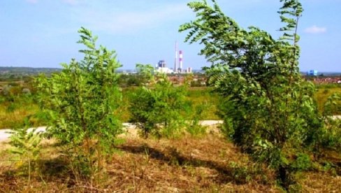 Na kopu „Drmno“ ove godine rekultivišu 27 hektara zemljišta