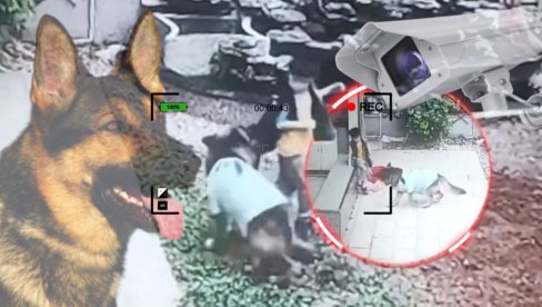 ZAR JE MOGUĆE DA JE TO URADIO? Imali su vučjaka, a onda su videli snimak sa sigurnosne kamere (VIDEO)
