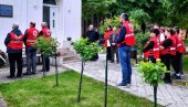 SVE ŠTO ČINIMO, ČINIMO OD SRCA: Paraćinski Crveni krst položio venac svom osnivaču Lazaru Protiću (FOTO)