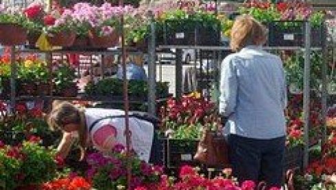 ZAMENITE STARI PAPIR ZA NOVE SADNICE : Akcija na Cvetnoj pijaci u Novom Sadu