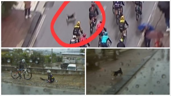 ШТА ГА СВЕ НИЈЕ СНАШЛО НА ЂИРО Д ИТАЛИЈА! Светског шампиона напао пас, али то му уопште није био једини проблем у 5. етапи (ВИДЕО)