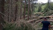 BEZ KONCESIJA MANJI PRIHOD: Opštine u CG zabrinute zbog izmena Zakona o šumama, budžet Pljevalja bio bi uskraćen za 3,5 miliona