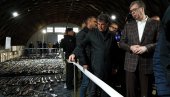 GDE JE PRIKUPLJENO NAJVIŠE ORUŽJA Vučić: Proporcionalno broju stanovnika najviše Sremska Mitrovica, pa Šabac pa Novi Sad