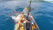 КАО У ХОРОР ФИЛМУ: Човек снимао док пеца, а онда је изненада излетела ајкула (ВИДЕО)