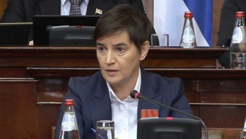 BRNABIĆ: Izjavom Marinike Tepić da je za suze predsednika Vučića u Malom Orašju kasno, probijeno je novo dno