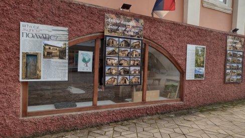 GDE SU ŽIVELI VINARI U VREME BERBE GROŽĐA? To znaju u Zavičajnom muzeju Župe, gde su popisali oko 70 posebnih naselja (FOTO)