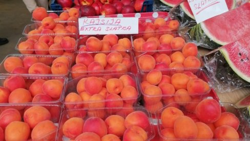 BRESKVE I DO 500 DINARA: Pijaca na Zelenjaku juče je imala veliku ponudu voća i povrća