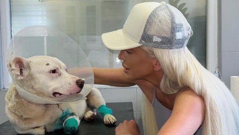 UPUTILA APEL: Jelena Karleuša udomila psa bez šapa