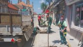 НОВИ СЈАЈ НЕКАДАШЊЕ ВРШАЧКЕ ПРОМЕНАДЕ: У Улици Вука Караџића посађено 40 стабала сибирске вишње