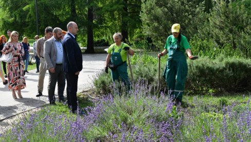 NOVOSAĐANI OBELEŽILI SVETSKI DAN ZAŠTITE ŽIVOTNE SREDINE: U Dunavskom parku kviz za đake i poseta gradonačelnika