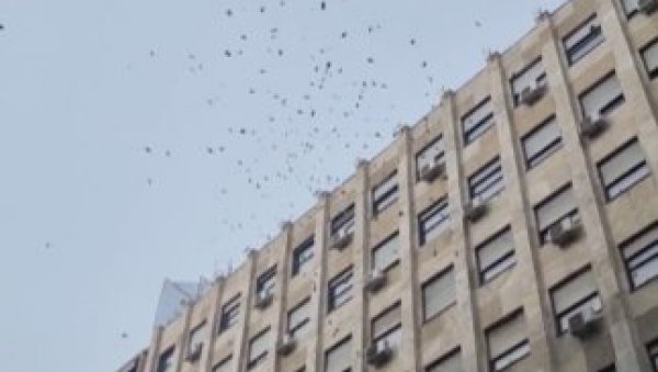 ПАРЕ У СРБИЈИ ИПАК ПАДАЈУ СА НЕБА: Људи у центру Београда остали шокирани (ВИДЕО)