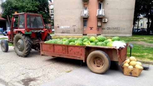 ИЗАБРАНО 25 ЛОКАЦИЈА: У Пожаревцу и Костолцу одређена места за продају лубеница