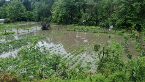 PRIJAVE DO 30. JULA: Formirane komisije za procenu štete od poplava borskim selima