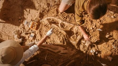 НАУЧНИЦИ НИСУ МОГЛИ ДА ВЕРУЈУ СВОЈИМ ОЧИМА: Открили нову врсту диносауруса, а ево по чему је посебан