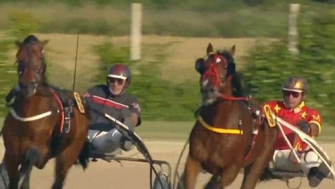КАКВА ДРАМА: Овако је најбољи коњ Николе Јокића у финишу изгубио трку за пехар града Сомбора (ВИДЕО)