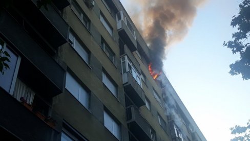 POŽAR U ULICI VOJVODE STEPE: Vatra kulja kroz prozor stana (VIDEO)