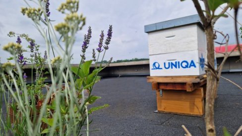 UNIQA осигурање и Bee center представили пројекат очувања пчела