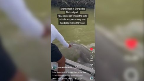 UZNEMIRUJUĆ SNIMAK SA FLORIDE: Ajkula zgrabila čoveka iz čamca i povukla ga u vodu (VIDEO)