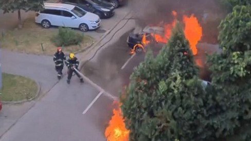 ВАТРА ГУТА АУТОМОБИЛ У НОВОМ САДУ: Снимак пожара на паркингу, црн дим куља на све стране (ВИДЕО)