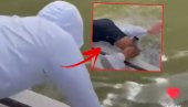 UZNEMIRUJUĆI SNIMAK: Ajkula zgrabila čoveka iz čamca pa ga povukla sa sobom u vodu (VIDEO)