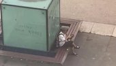 NESTVARAN SNIMAK IZ FRANCUSKE: Usred haosa na ulicama - čovek mirno sedi i jede pecivo (VIDEO)