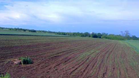 ЈАВНИ ПОЗИВ: Општина Мало Црниће даје у закуп пољопривредно земљиште