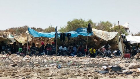ВИШЕ ОД ПОЛА ДЕЦА И АДОЛЕСЦЕНТИ: Откривен камп са скоро 500 миграната